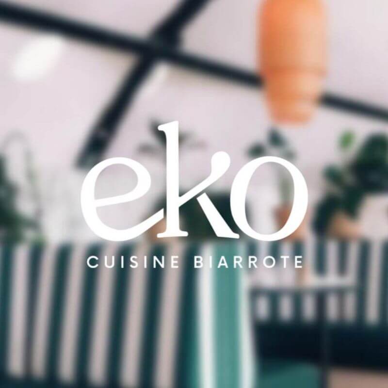 Eko Identité visuelle | Pluton